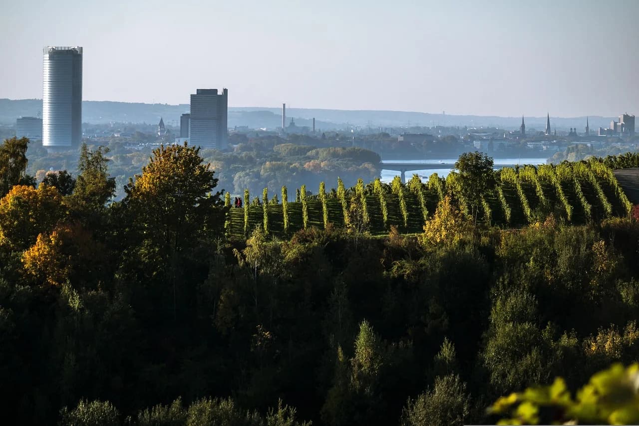 Bonn – Beethovenhaus und Rheinaue